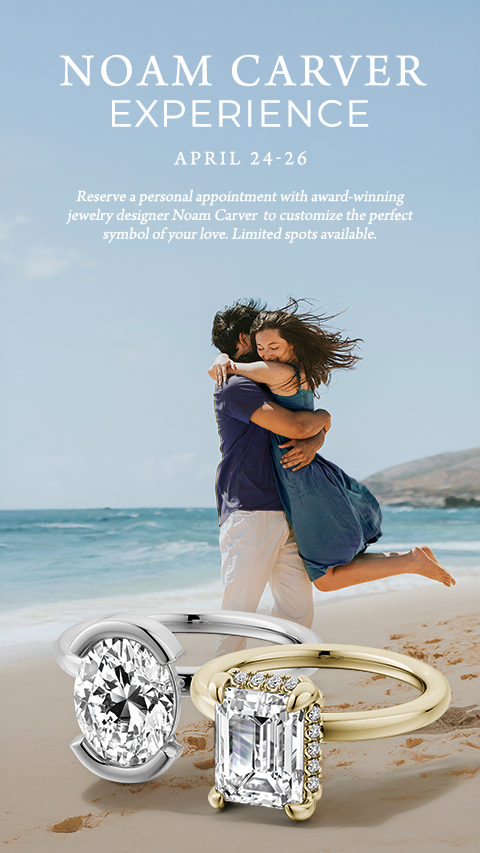 Noam Carver Experience Noam Carver Experience banner featuring a happy couple on the beach with bridal jewelry